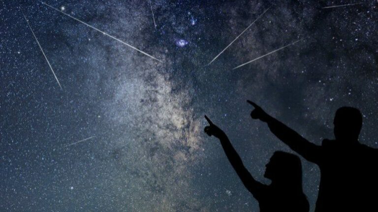 Con Cruceros Pelegrín puedes ver las perseidas en la isla de Ons
