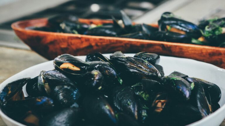 Los mejillones de Galicia destacan por su exquisito sabor, especialmente de junio a septiembre