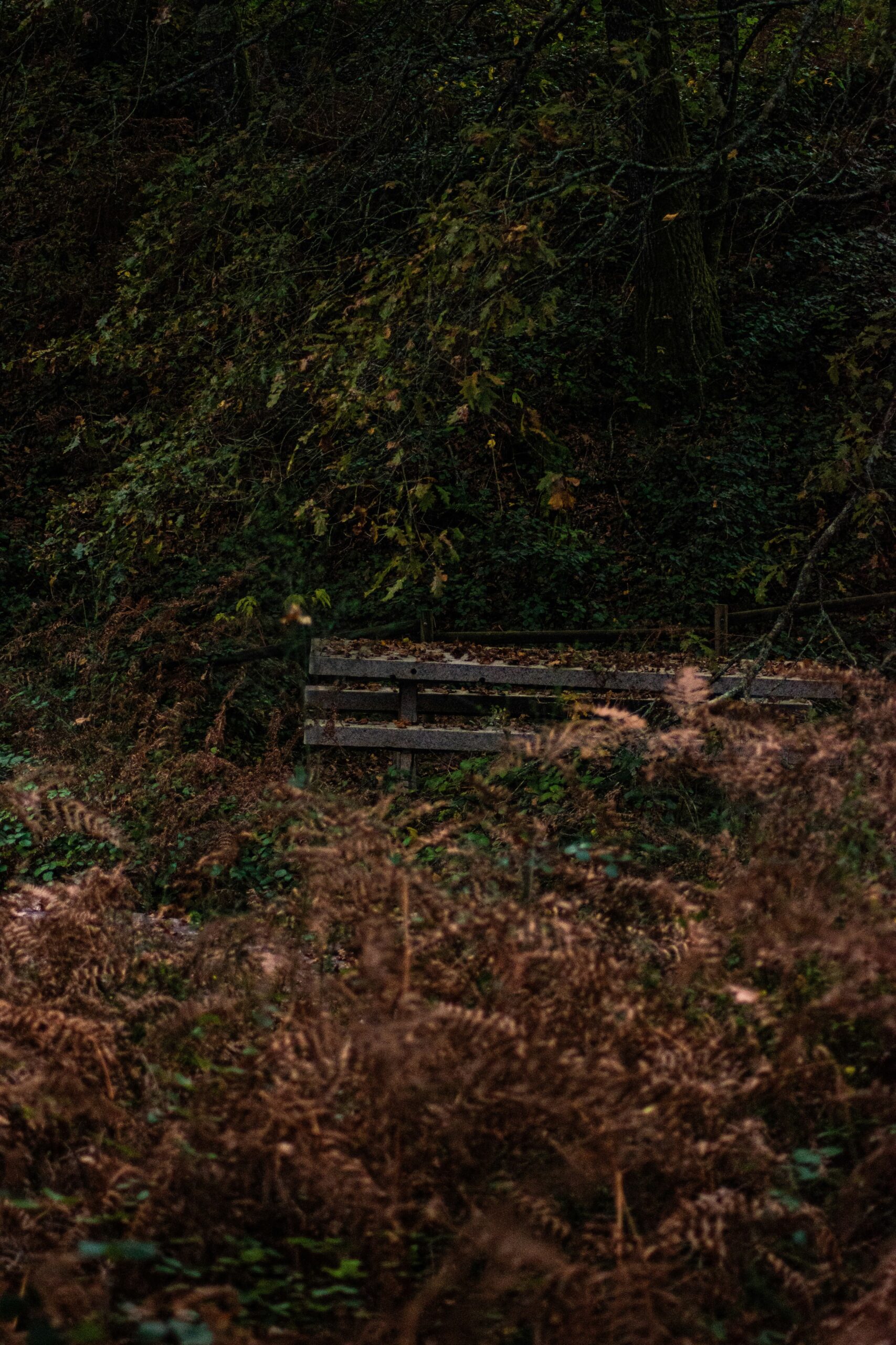 Paisaje otoñal de las Rias Baixas