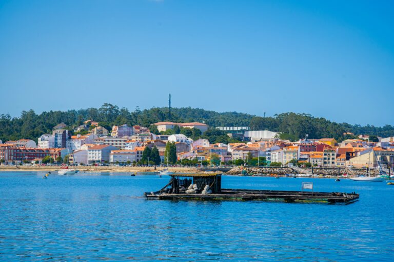 Rias Baixas , Mar Galicia, Mejillones