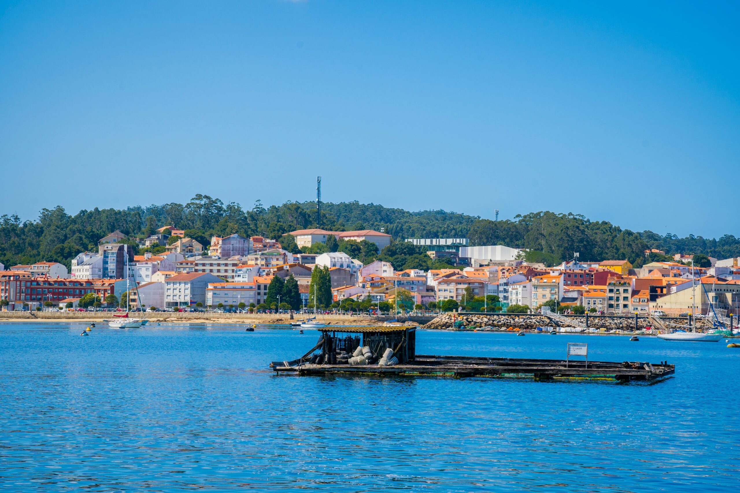 Rias Baixas , Mar Galicia, Mejillones